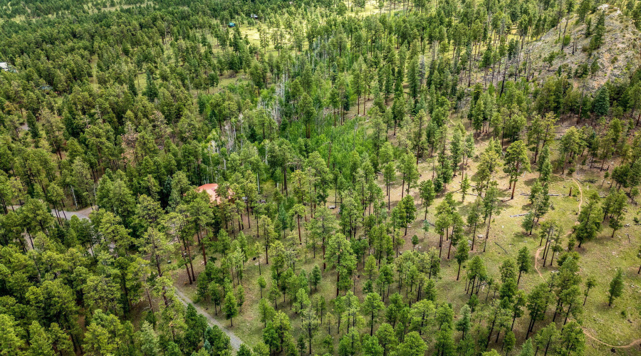 Parcel10257016-Greer-AZ-8