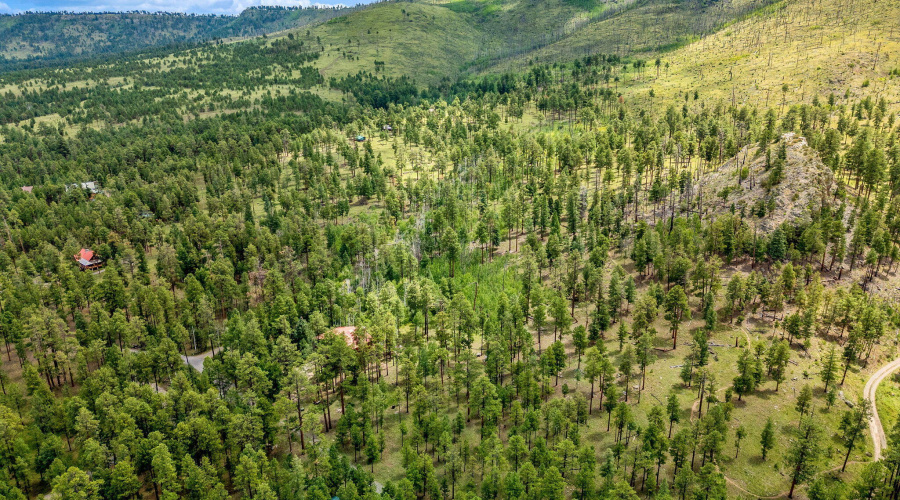 Parcel10257016-Greer-AZ-9