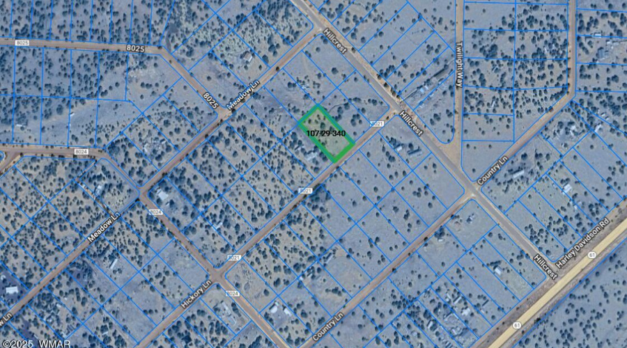 Screenshot 2025-03-25 134935