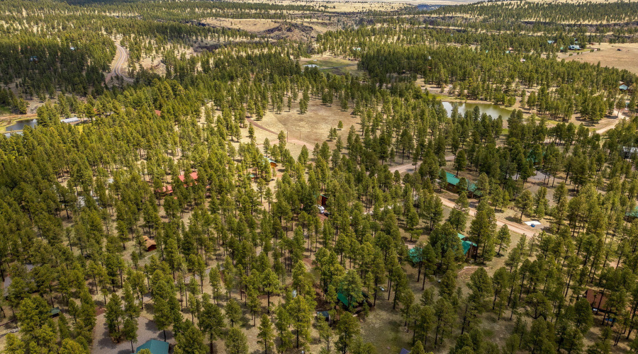 10CRN1030-Greer-AZ-32