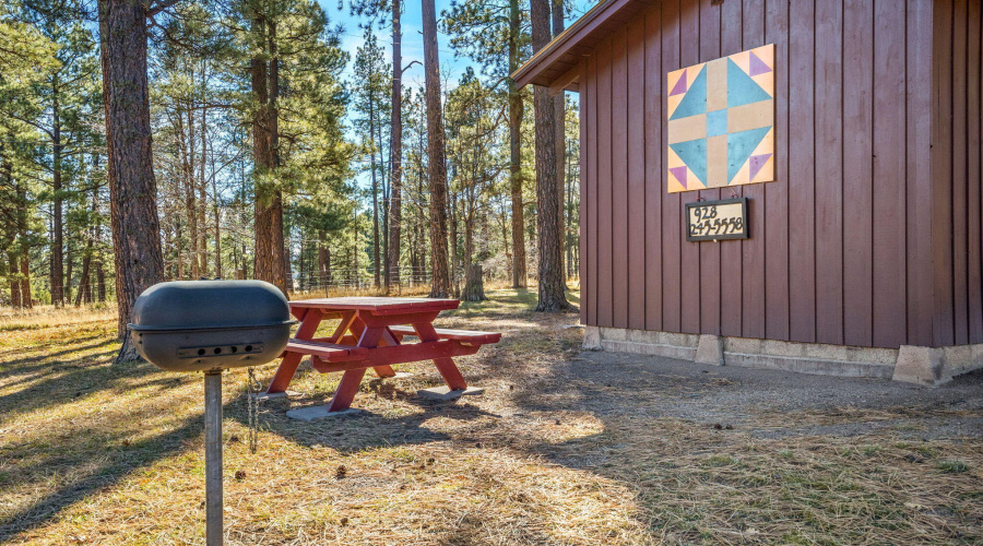 25327-US-191-Alpine-Arizona-4