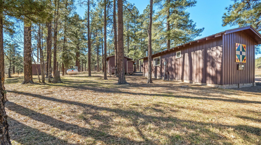 25327-US-191-Alpine-Arizona-5