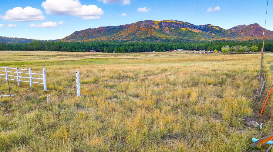 Parcel10115005A-AlpineAZ-15