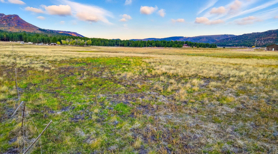 Parcel10115005A-AlpineAZ-14