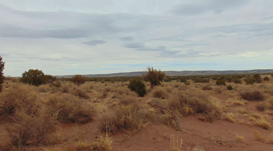 Lot 193 Mary Fishman (9)