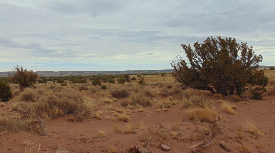 Lot 193 Mary Fishman (10)