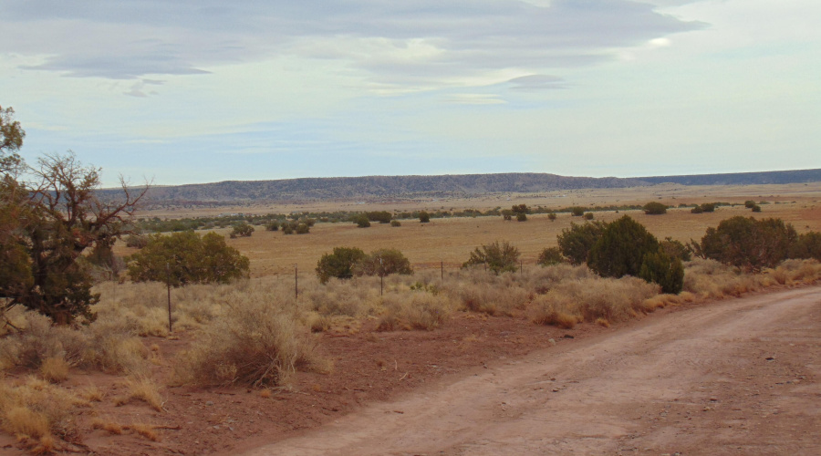 Lot 193 Mary Fishman (12)