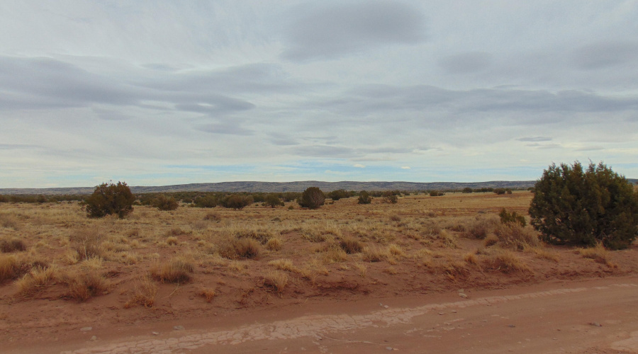 Lot 193 Mary Fishman (14)