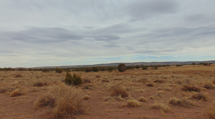 Lot 193 Mary Fishman (15)