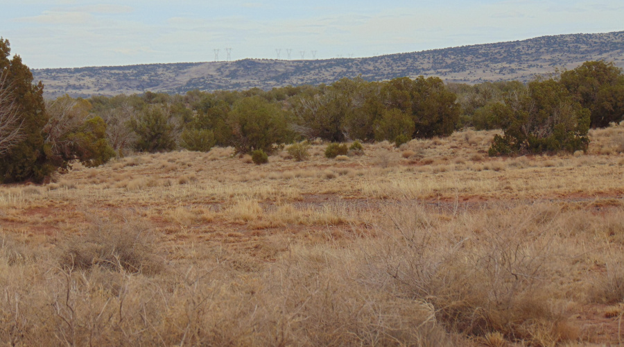 Lot 193 Mary Fishman (17)