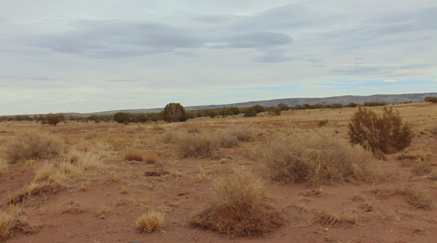 Lot 193 Mary Fishman (18)