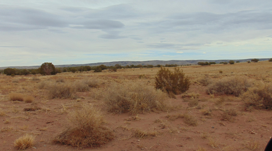 Lot 193 Mary Fishman (19)