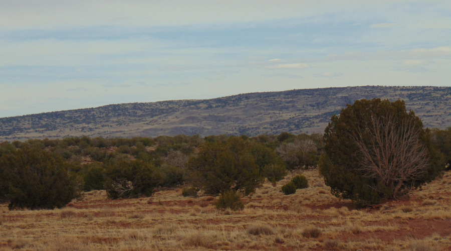 Lot 193 Mary Fishman (16)