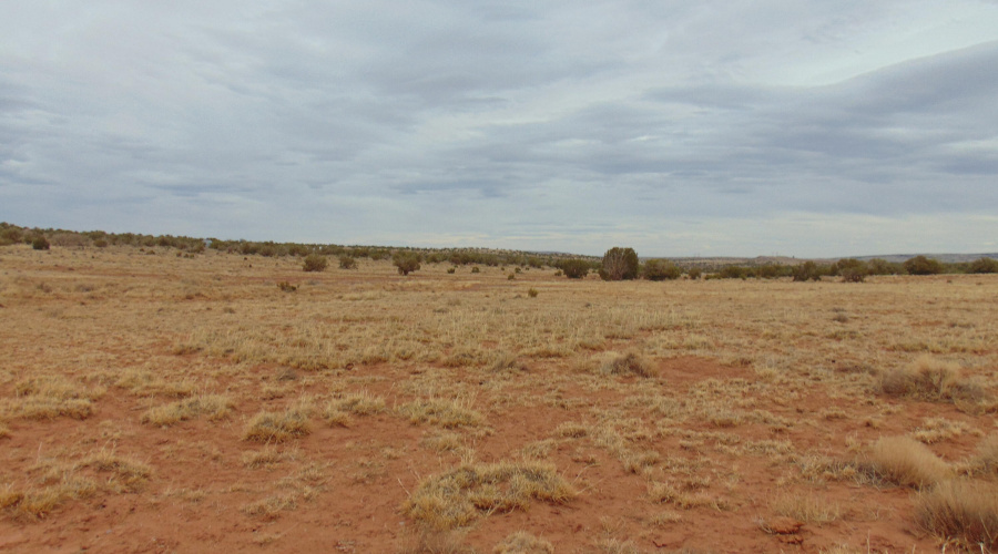 Lot 193 Mary Fishman (20)