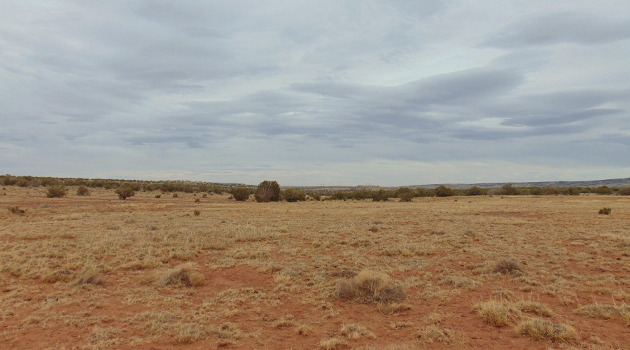 Lot 193 Mary Fishman (21)