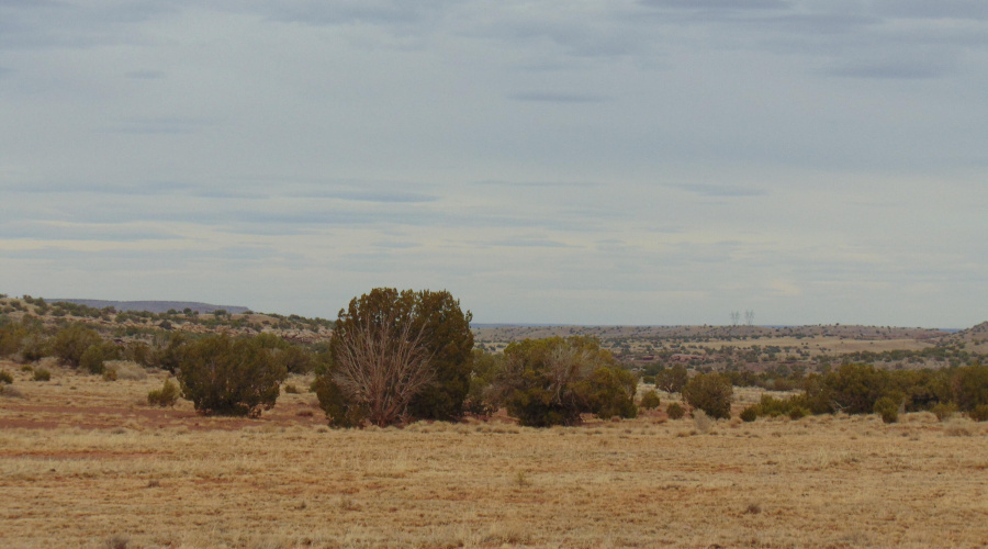 Lot 193 Mary Fishman (22)