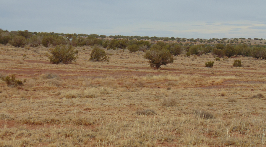 Lot 193 Mary Fishman (23)