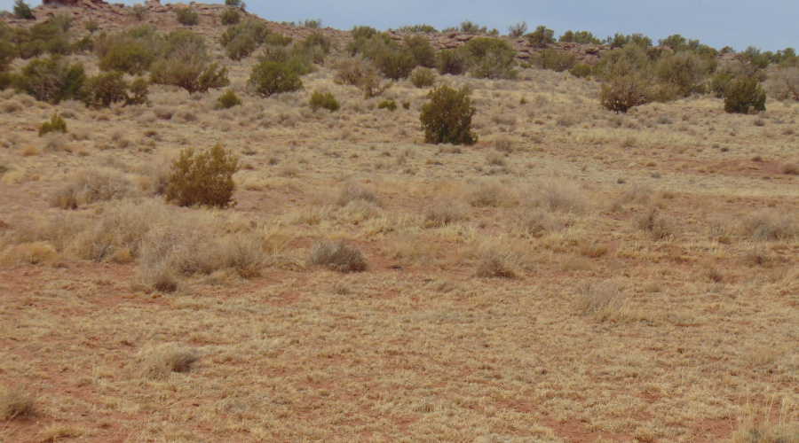 Lot 193 Mary Fishman (24)