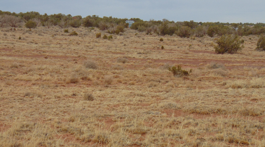 Lot 193 Mary Fishman (25)