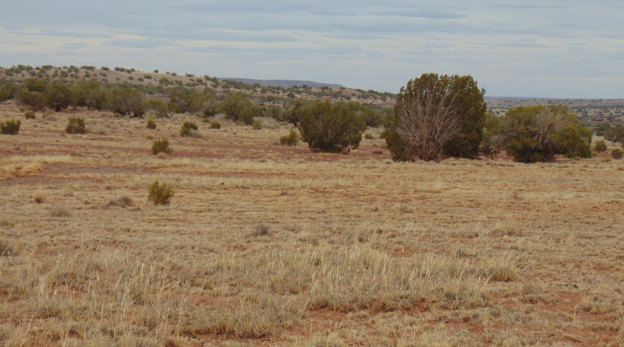 Lot 193 Mary Fishman (26)