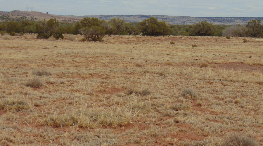 Lot 193 Mary Fishman (27)