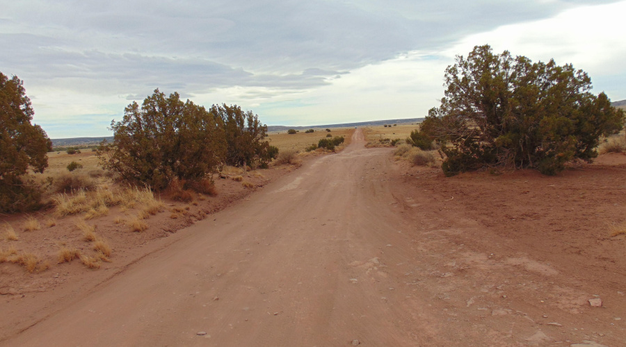 Lot 193 Mary Fishman (3)