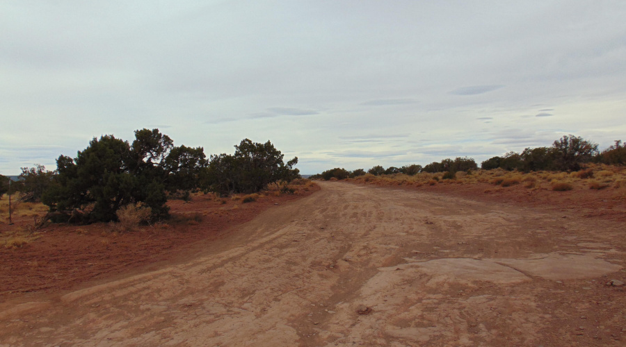 Lot 193 Mary Fishman (4)