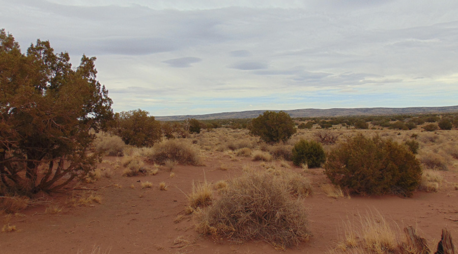 Lot 193 Mary Fishman (5)