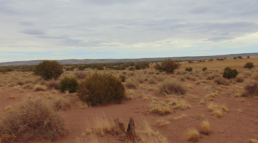 Lot 193 Mary Fishman (6)