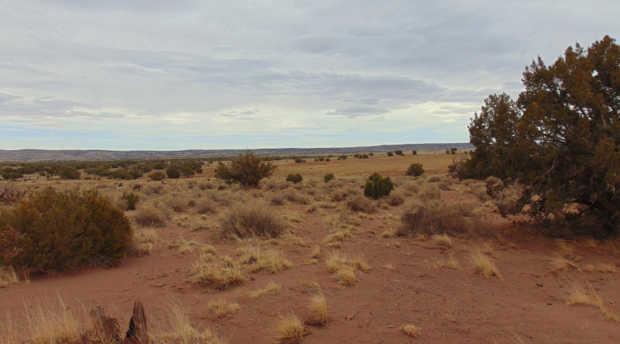 Lot 193 Mary Fishman (7)