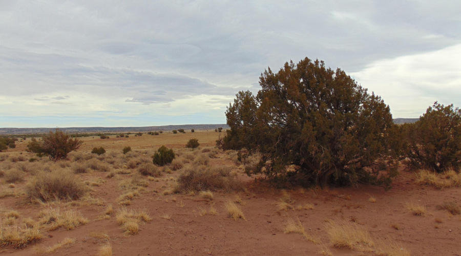 Lot 193 Mary Fishman (8)