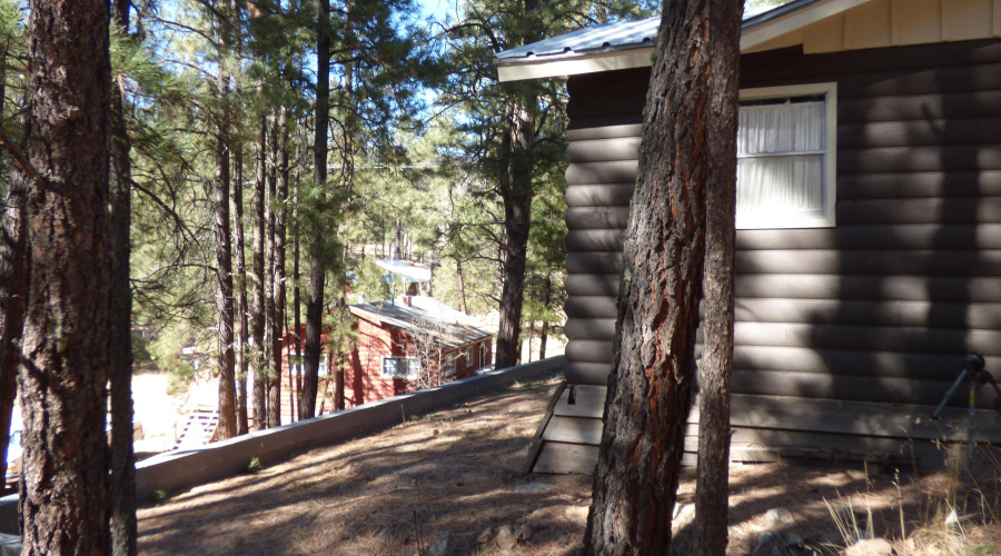 Cabin 1 (82)