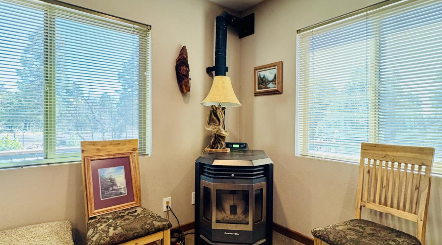 pellet stove