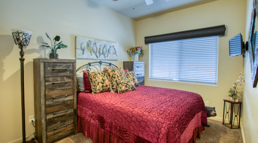 Paxmanphoto_PAX_8648