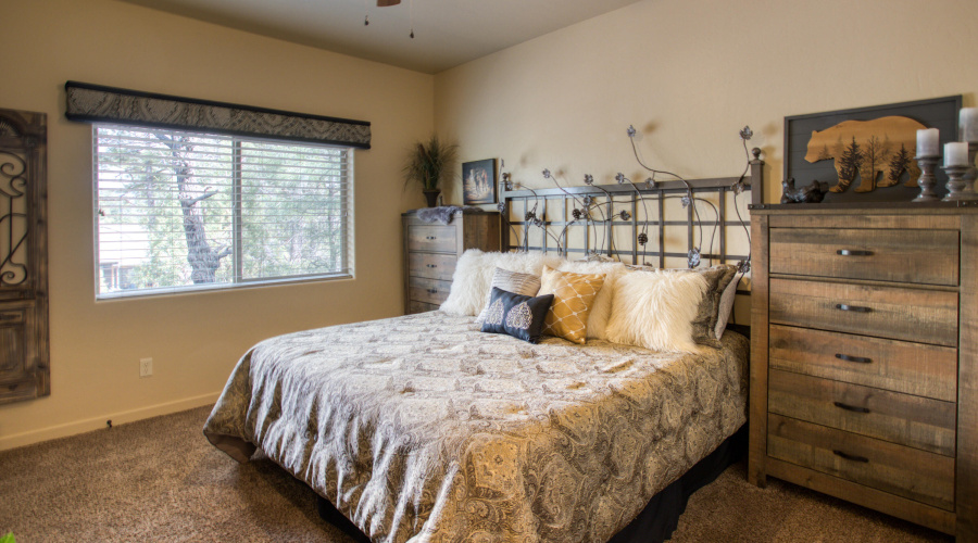 Paxmanphoto_PAX_8681