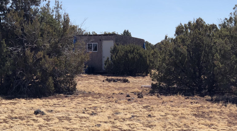 Lot with 12 x 12 shed