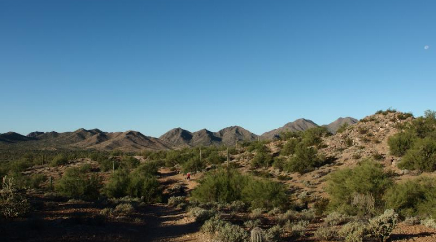 Desert Trail at San Tan MTN