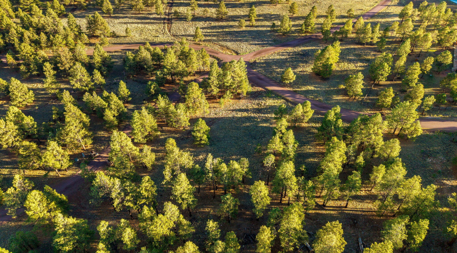 HMRParcel-Greer-AZ-13 (2)