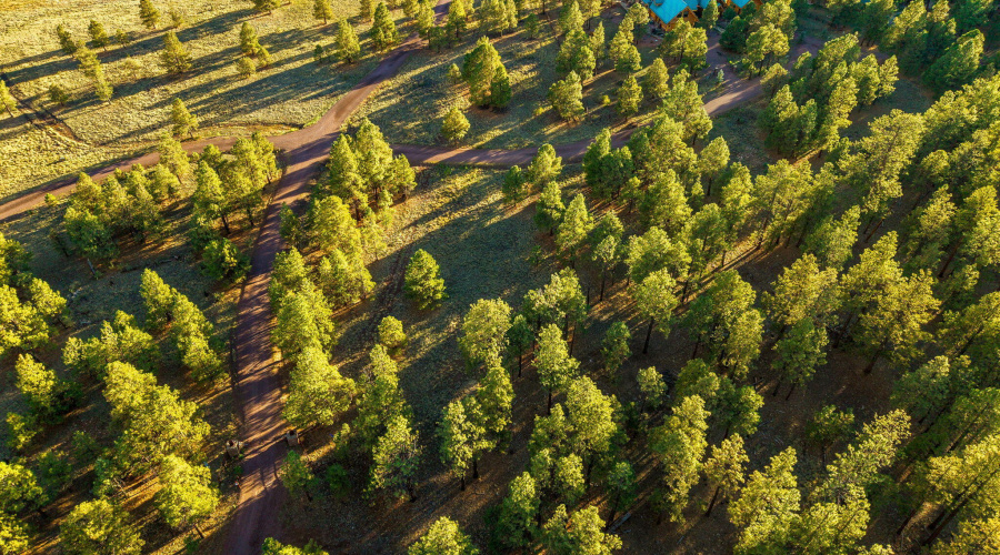 HMRParcel-Greer-AZ-14 (2)