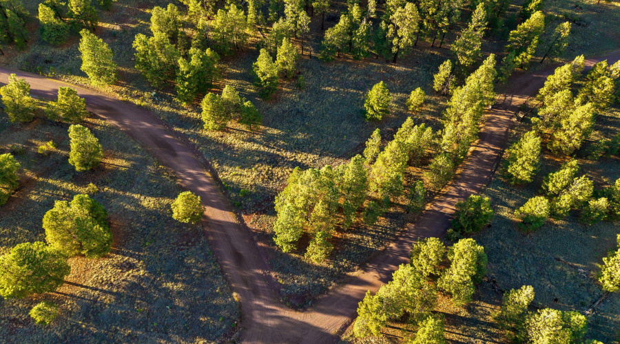 HMRParcel-Greer-AZ-11 (2)