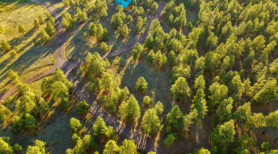 HMRParcel-Greer-AZ-15 (2)