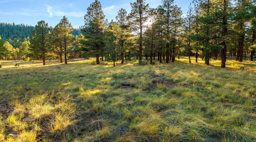 HMRParcel-Greer-AZ-3 (2)