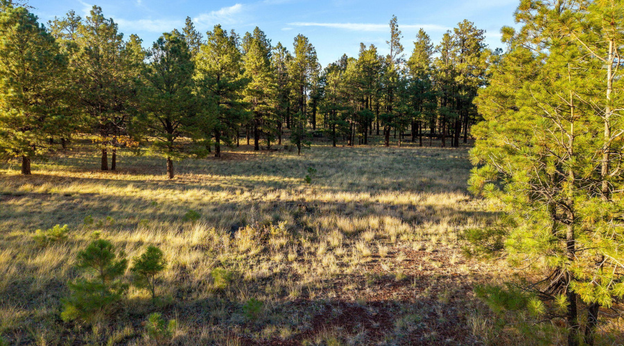 HMRParcel-Greer-AZ-4 (2)