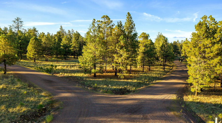 HMRParcel-Greer-AZ-2 (2)