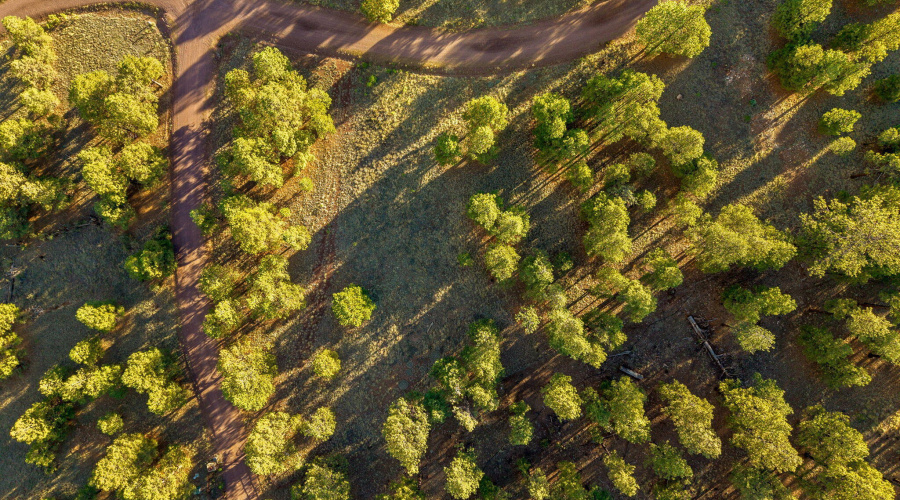 HMRParcel-Greer-AZ-5 (2)