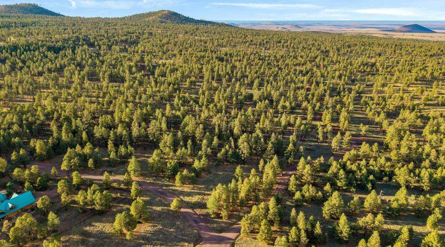 HMRParcel-Greer-AZ-6 (2)