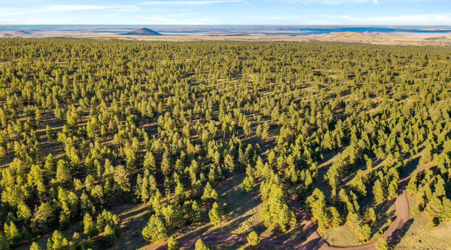 HMRParcel-Greer-AZ-7 (2)