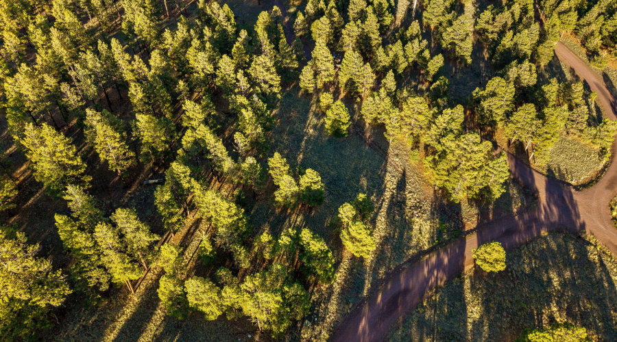 HMRParcel-Greer-AZ-12 (2)