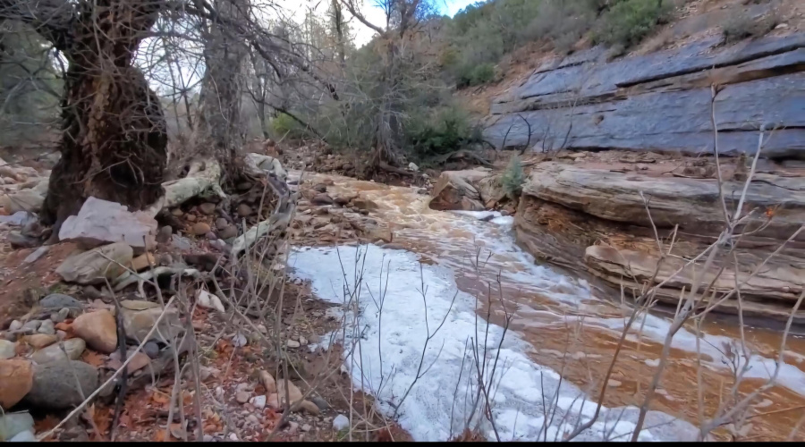 Screenshot_20250410_142221_Photos