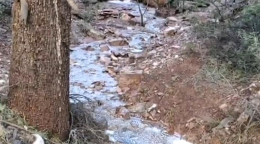 Screenshot_20250410_141830_Photos